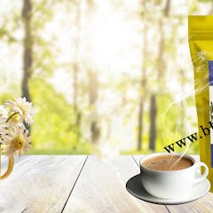 B K SAHA AND BROTHERS LIMITED