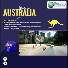 Roxbury Consultant