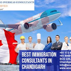 Woodbridge Overseas Consultants Private Limited